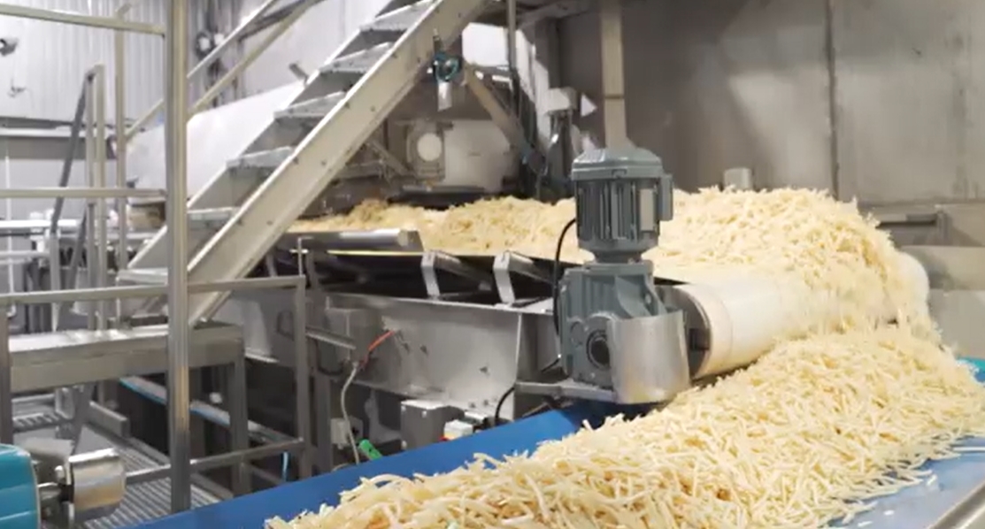 Farm Frites Poland produkcja frytek